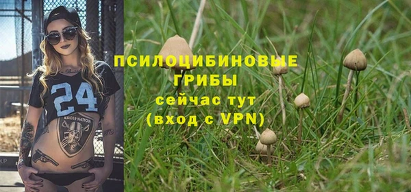 СК Нефтекумск