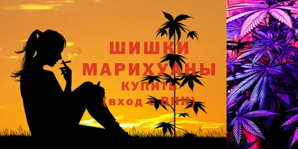 дживик Нефтегорск