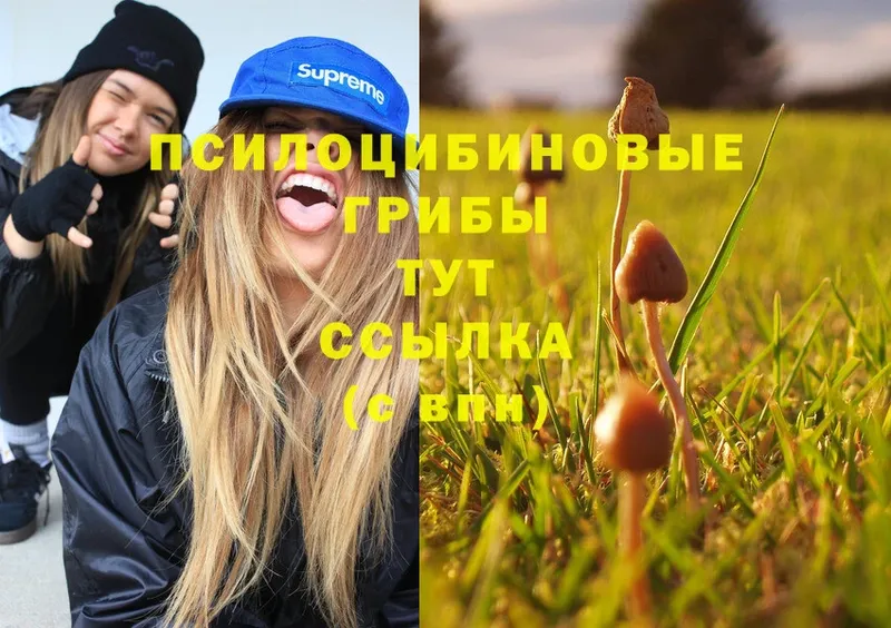 Псилоцибиновые грибы Magic Shrooms  Кудрово 