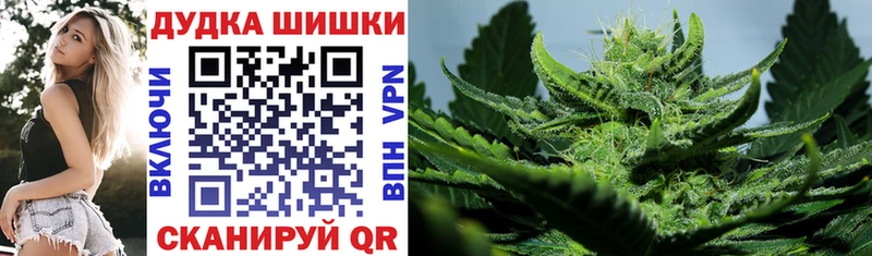 Бошки Шишки Amnesia  Кудрово 
